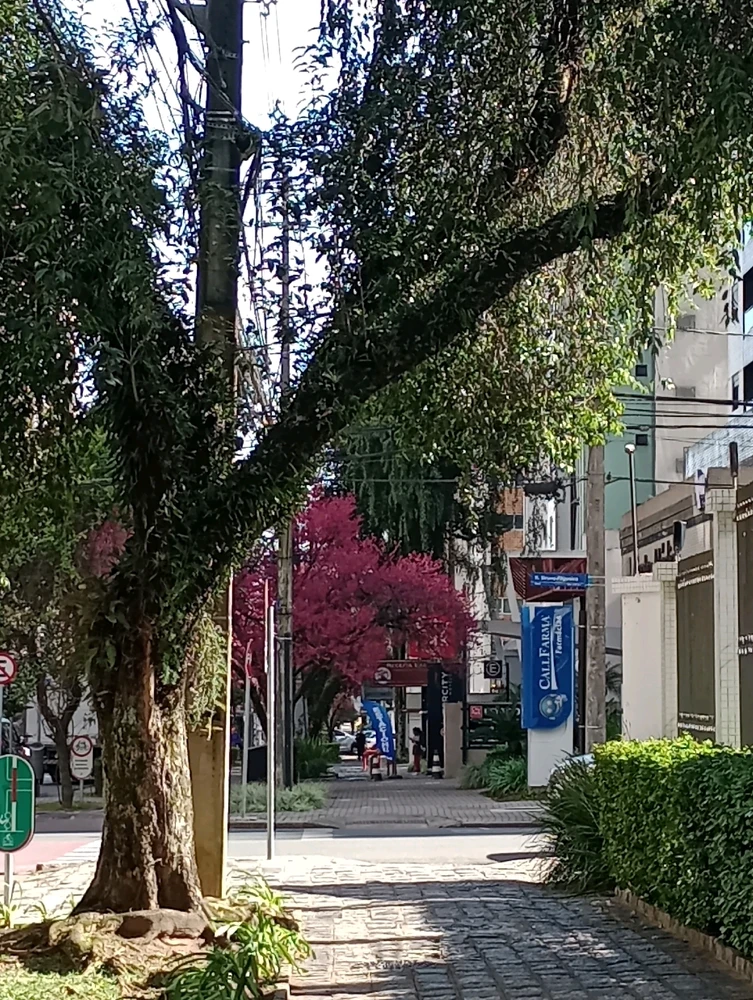 Duab xa los ntawm Vickye