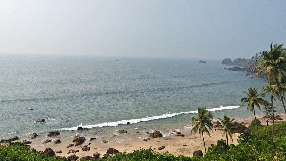 GIF uploaded by Jackson