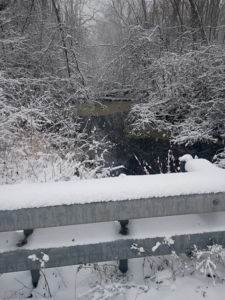 GIF uploaded by Brandon