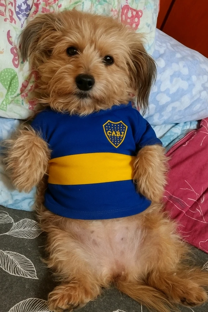 Imagen subida por Belén