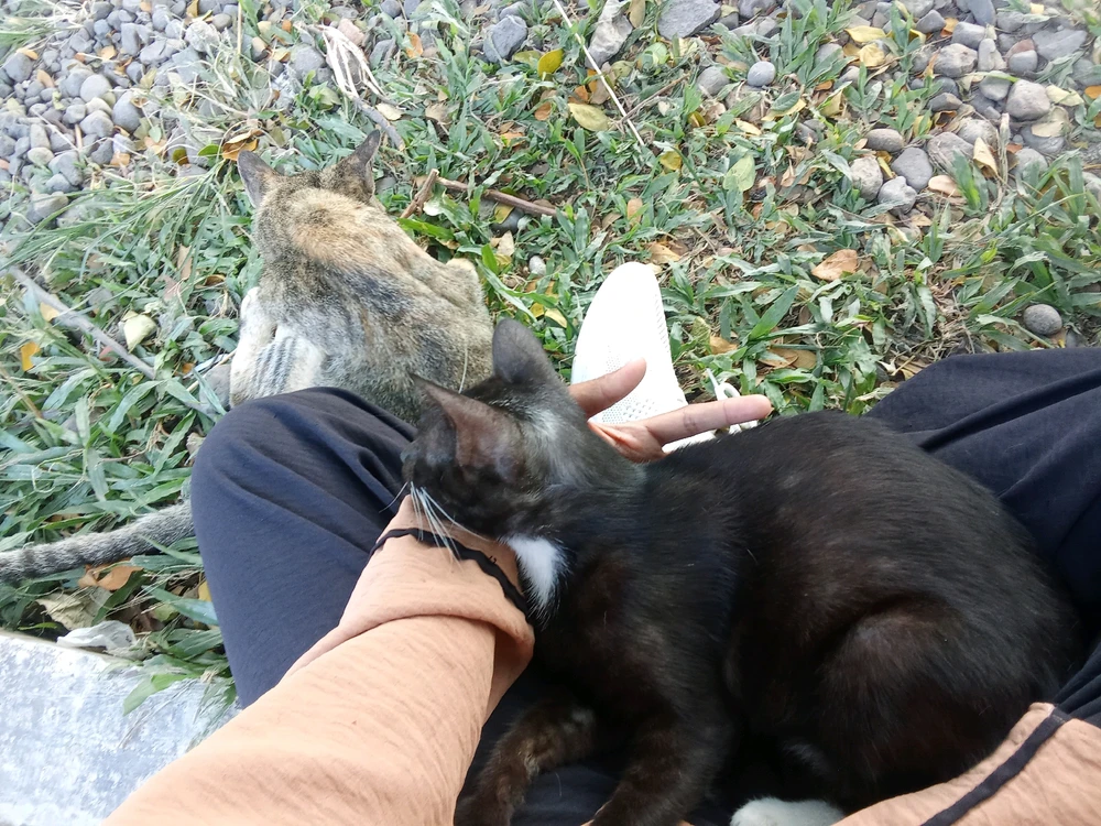 GIF diunggah oleh Hilma