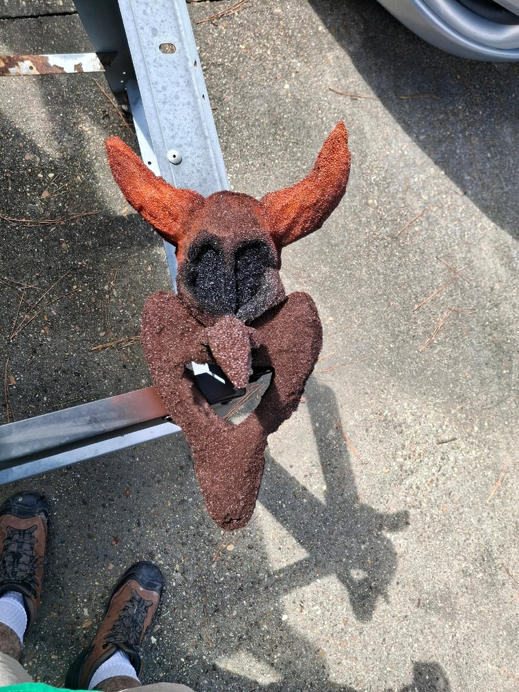 Image uploaded by Elijah