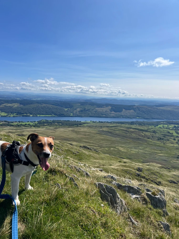 Image uploaded by James