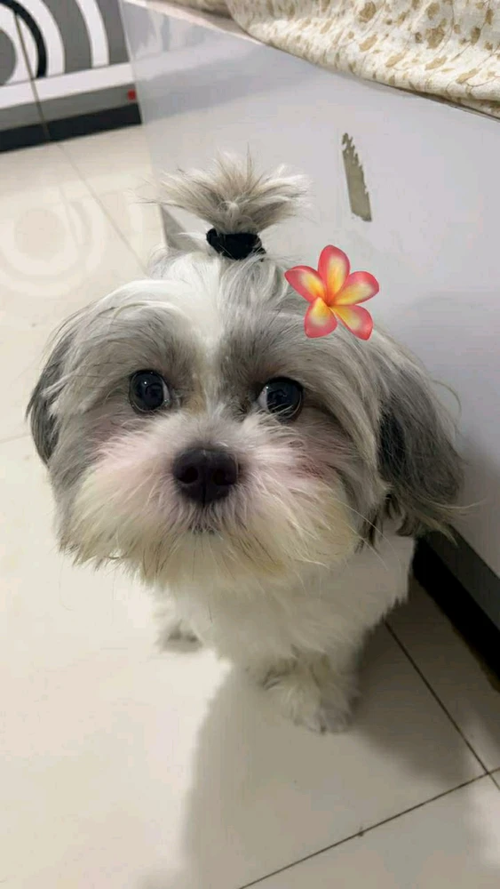 GIF uploaded by Karan