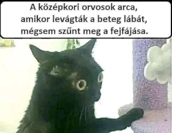 Dominik által feltöltött GIF