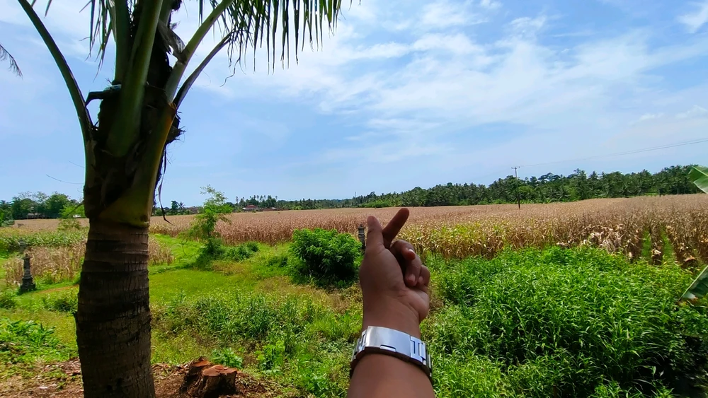 GIF uploaded by Indri