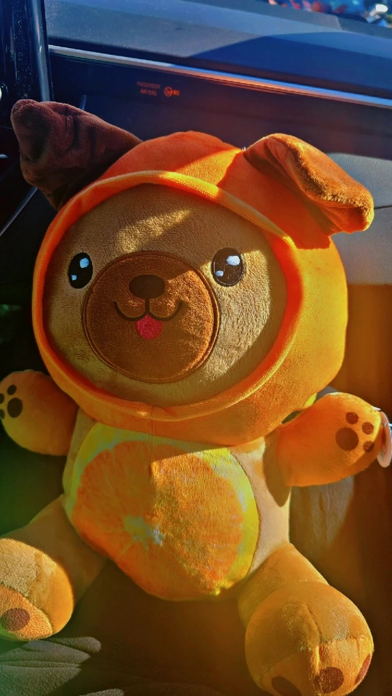 Image uploaded by 💖Sarita💖