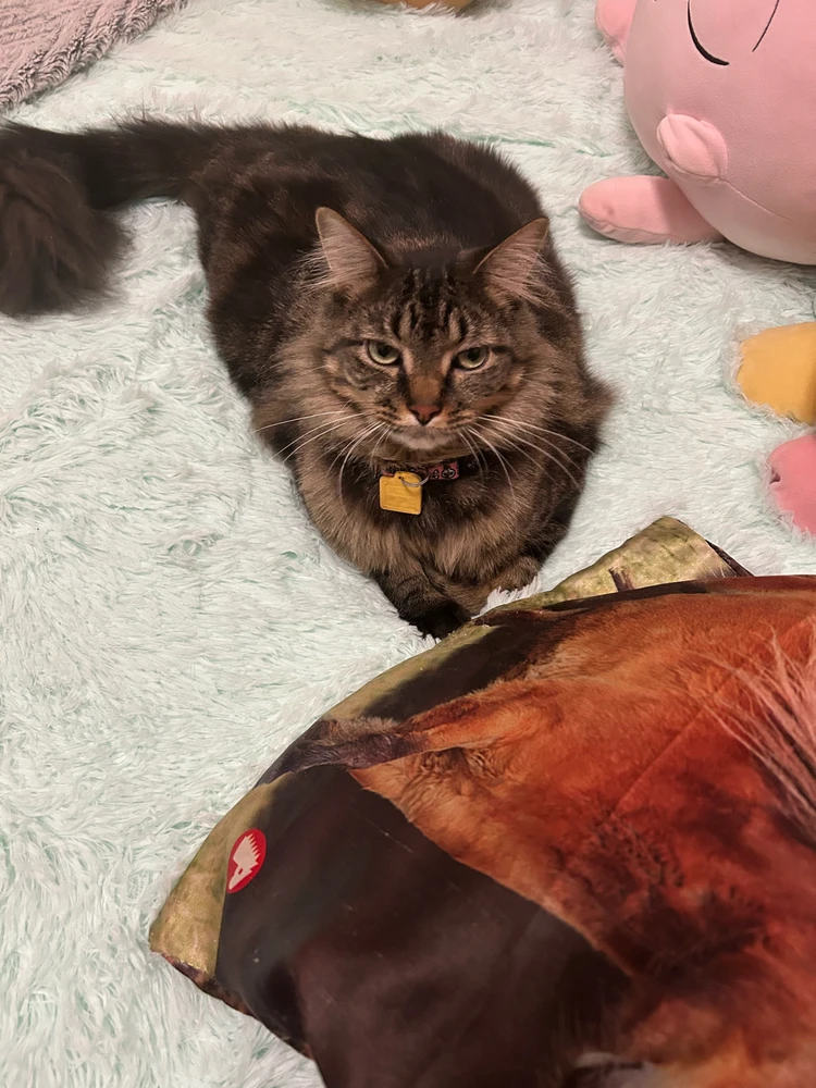 GIF uploaded by Melissa