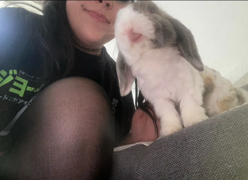 GIF hochgeladen von Tara