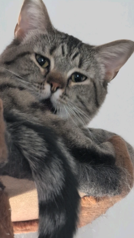 Image uploaded by Alex