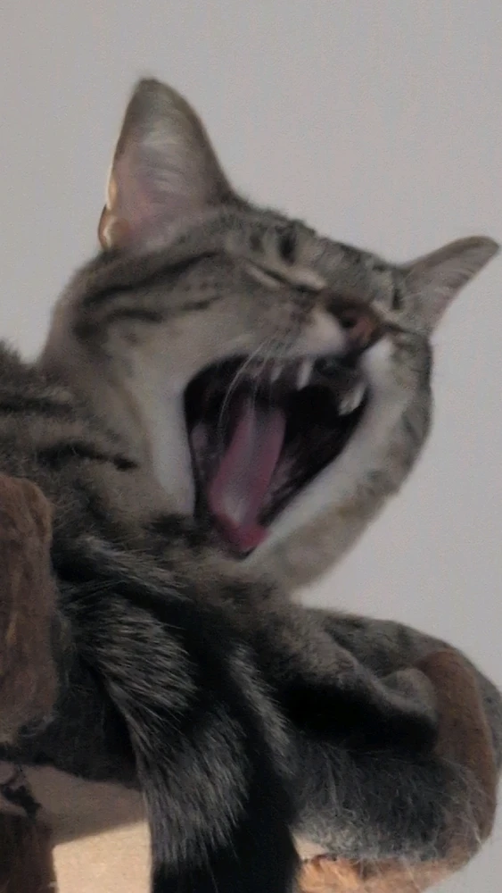 Image uploaded by Alex