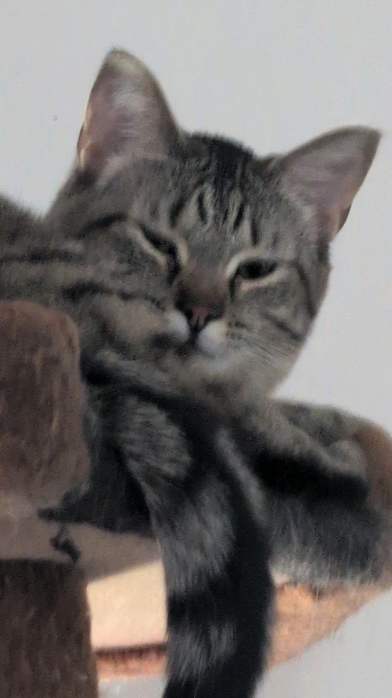 Image uploaded by Alex