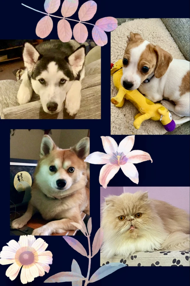 GIF diunggah dening Roxie