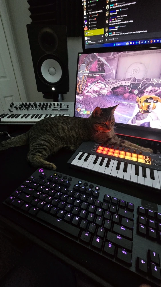 Image uploaded by Matthew