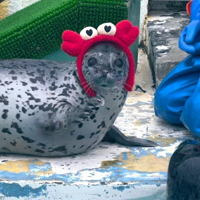 GIF uploaded by Roman