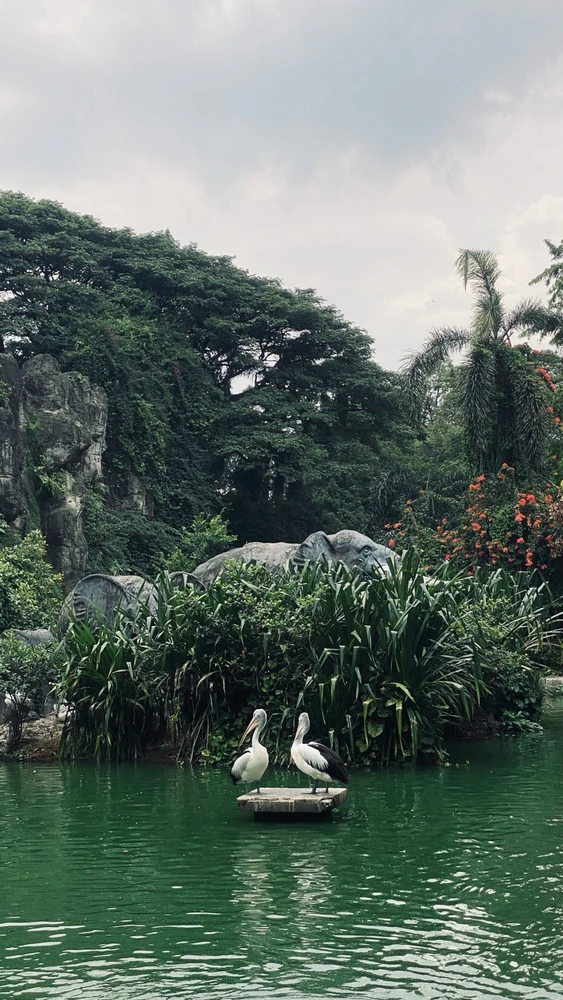 Image uploaded by dwi