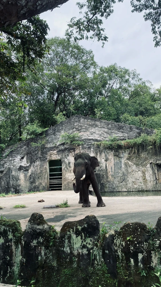 Image uploaded by dwi