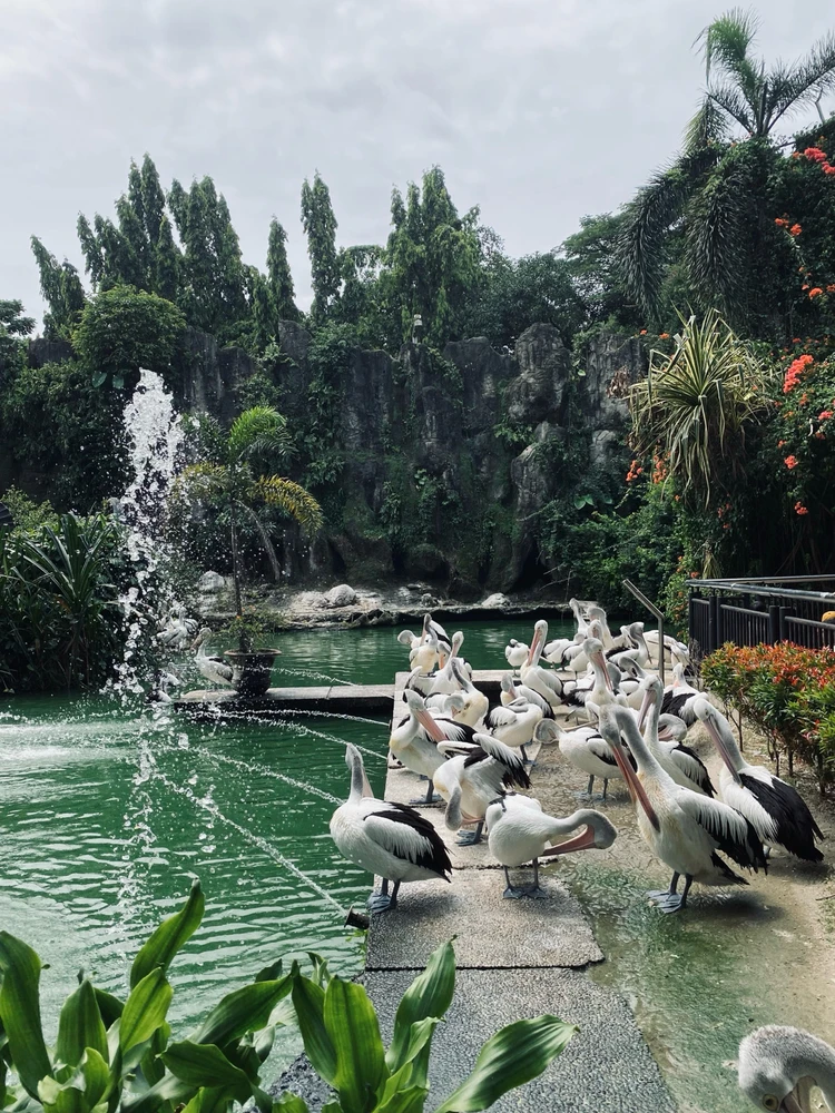 Image uploaded by dwi