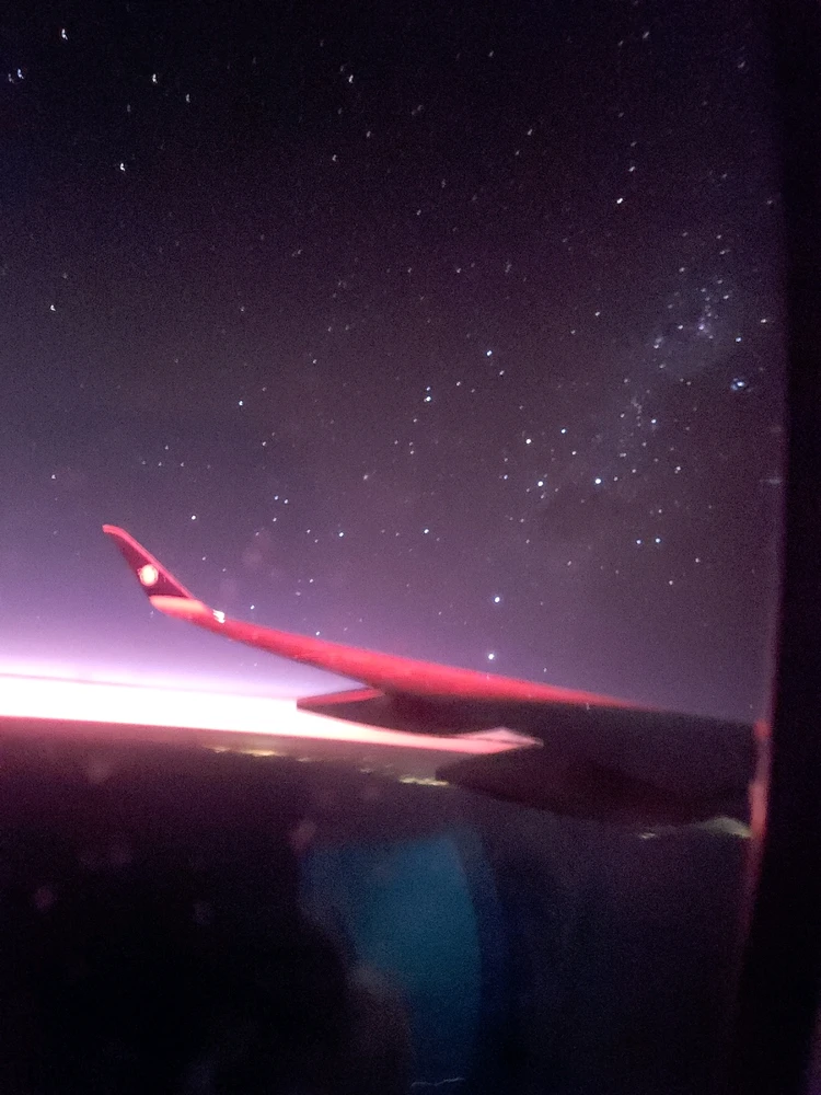 Image uploaded by Tere