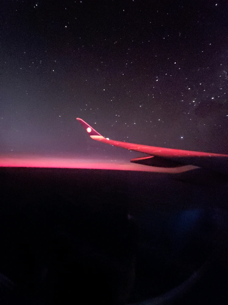 Image uploaded by Tere