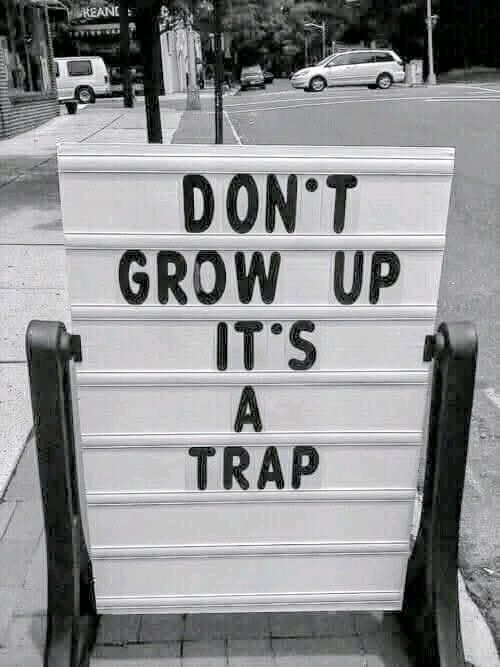 GIF uploaded by חן