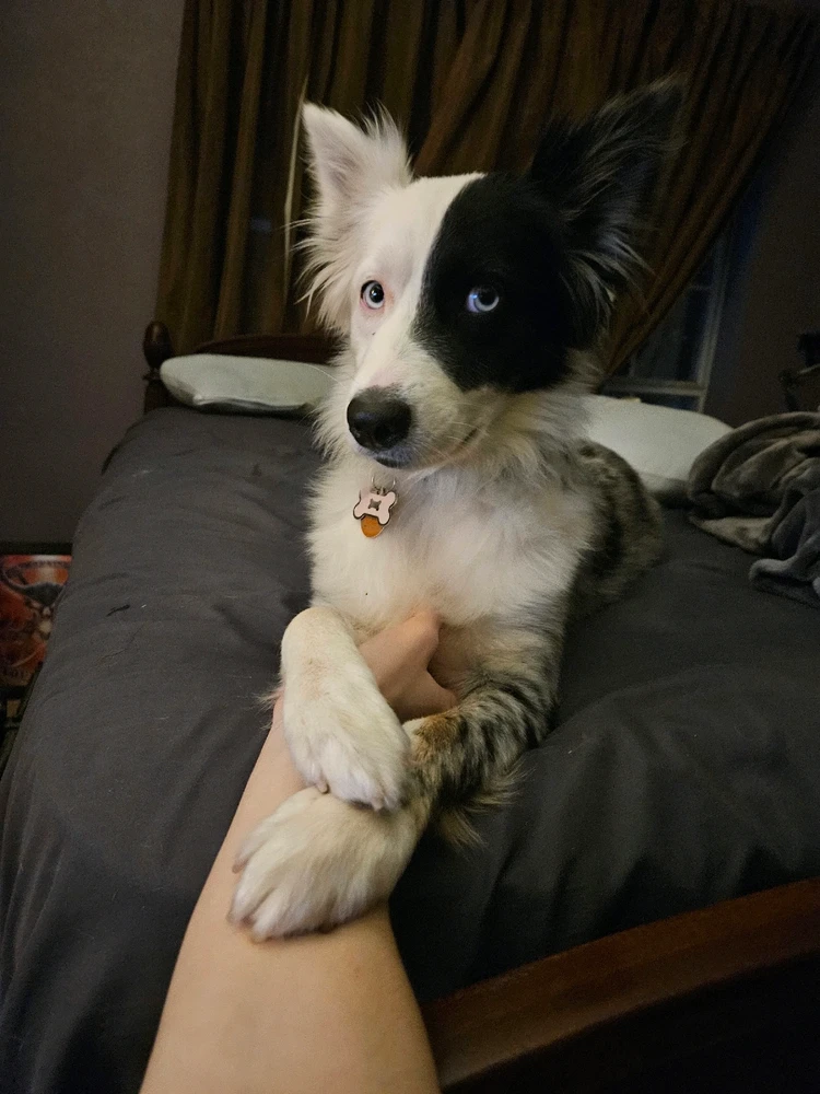 GIF uploaded by Hunter