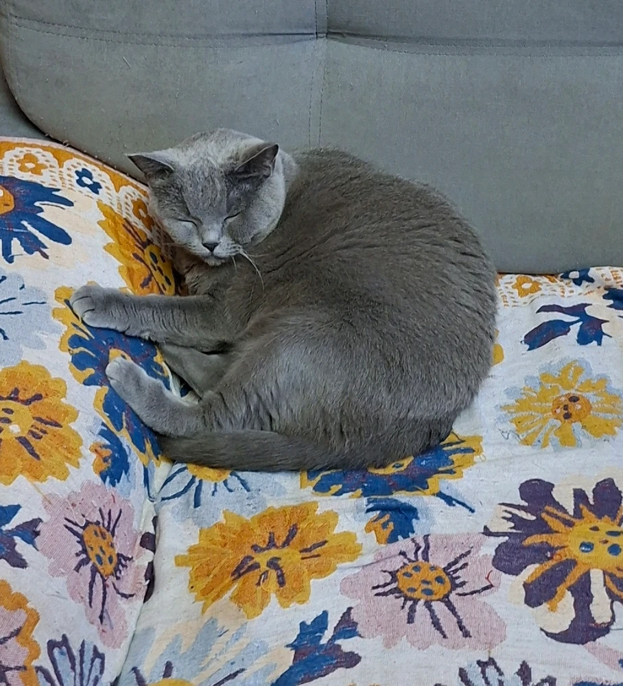 GIF uploaded by Aleksandr