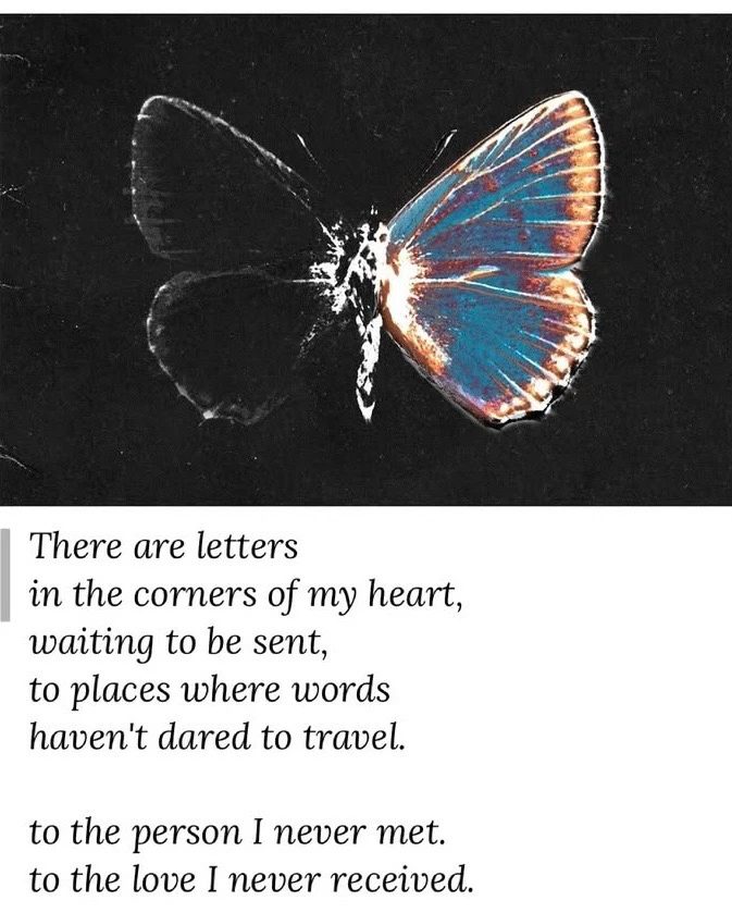 GIF uploaded by Tara