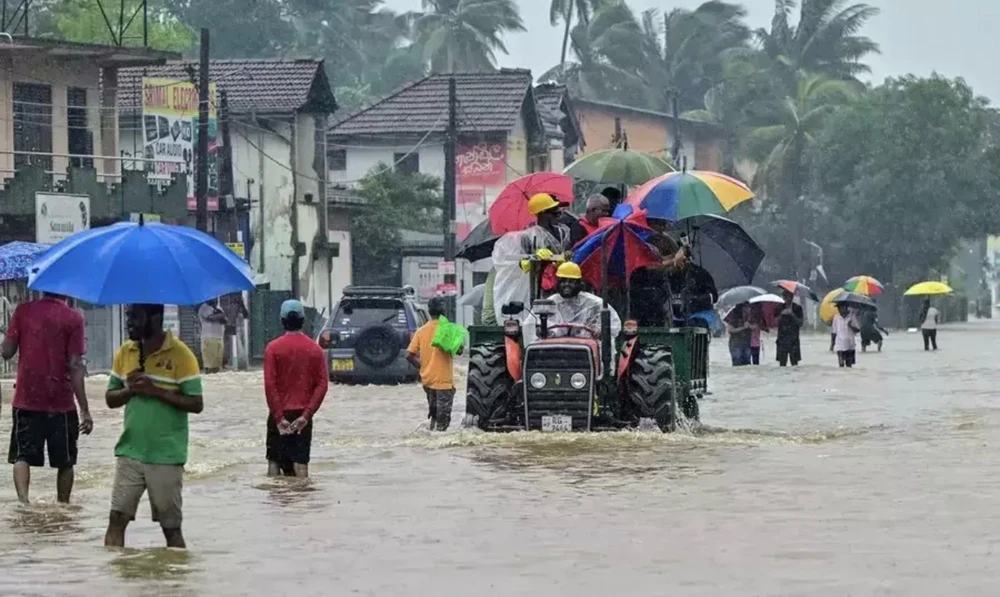 Gambar diunggah dening 𖤐ᴀʟɪᴇɴ ʀᴏᴏꜱᴛᴇʀ𖤐 