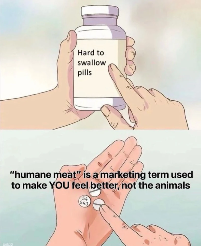 GIF hochgeladen von Tara