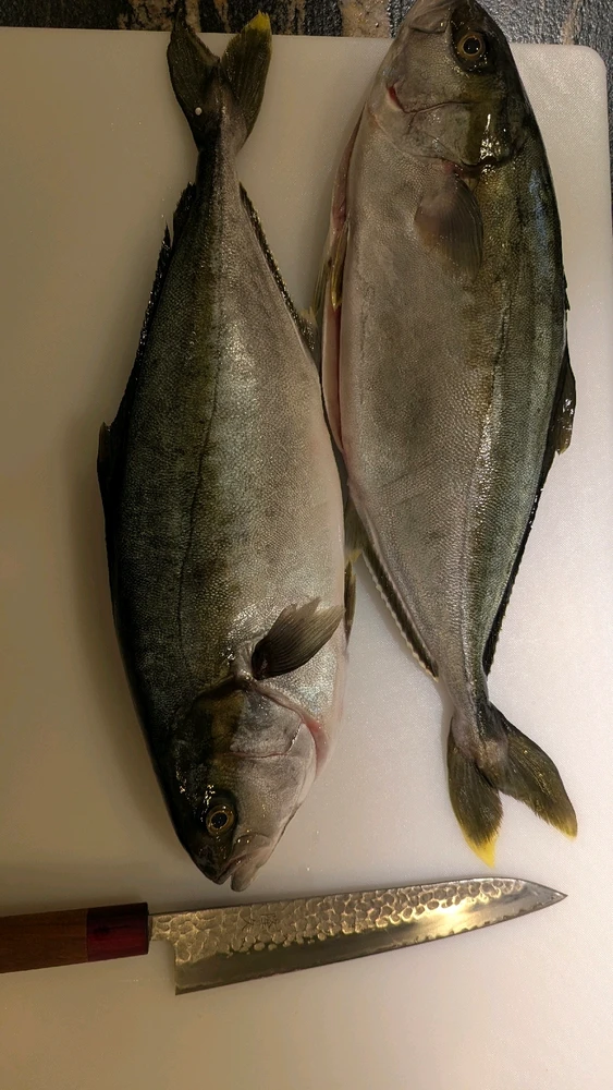 Image uploaded by Alex