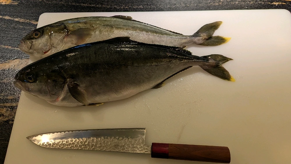 Image uploaded by Alex