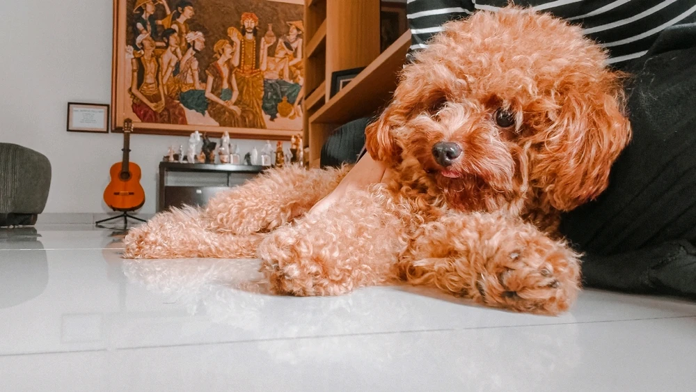 Image uploaded by Jae