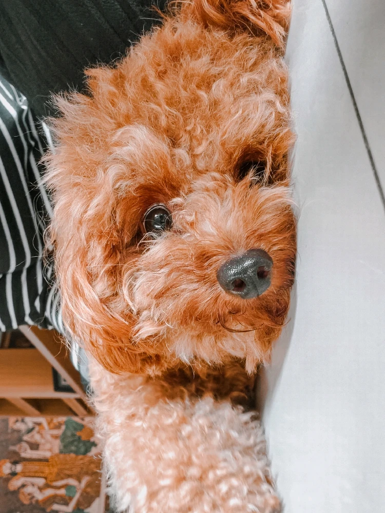 Image uploaded by Jae