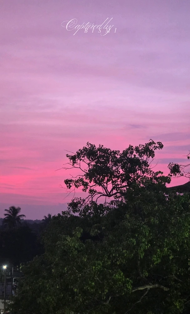 GIF uploaded by Bismi