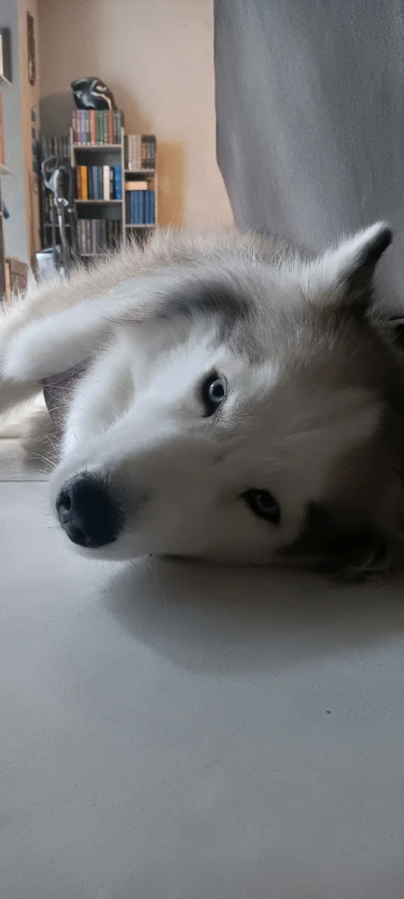 GIF uploaded by Mike