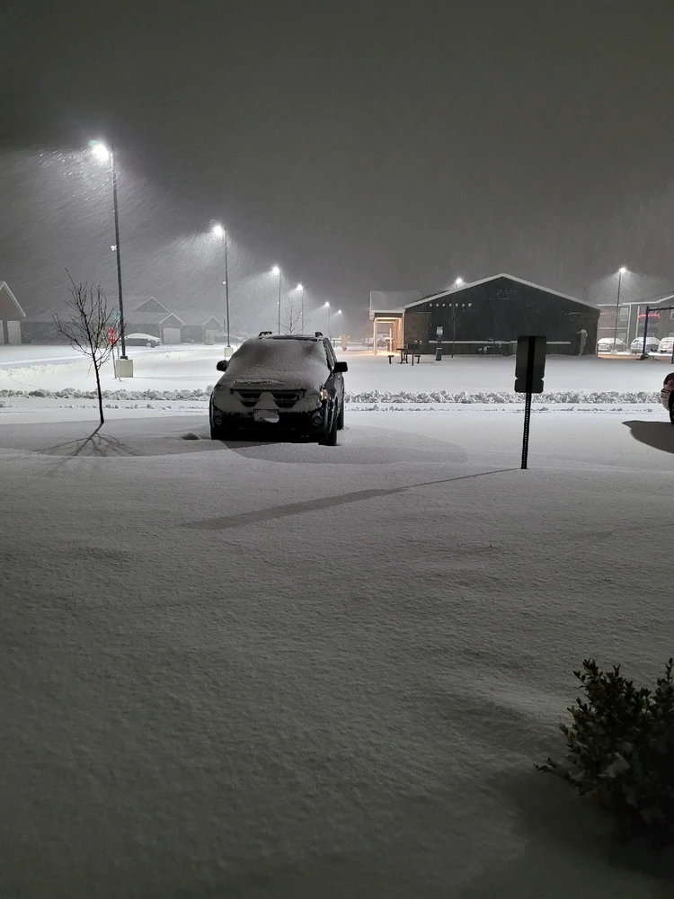 Image uploaded by Chels