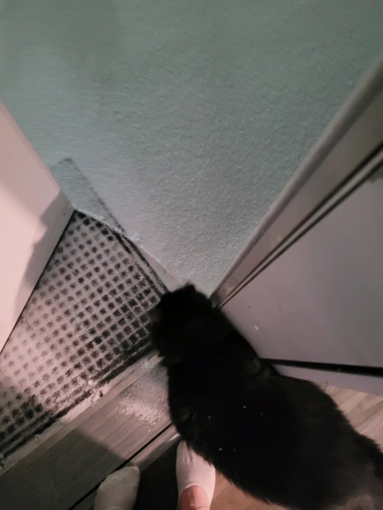 Image uploaded by Chels