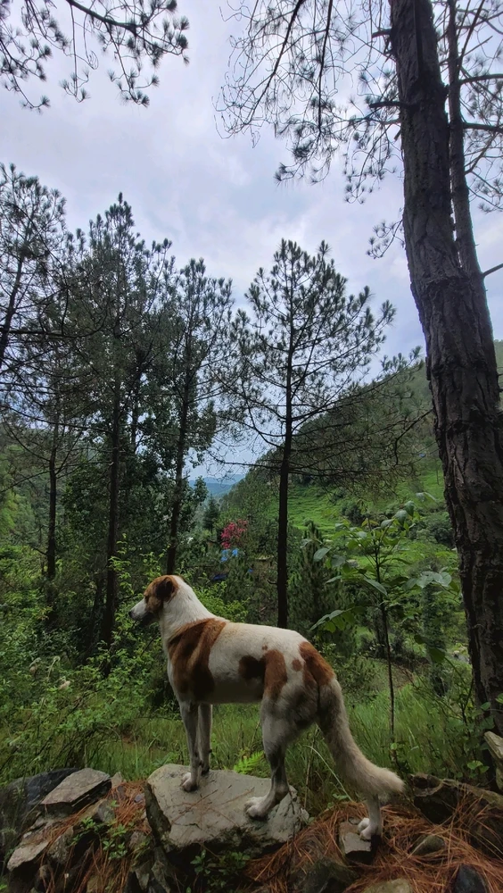 GIF diunggah dening Farry