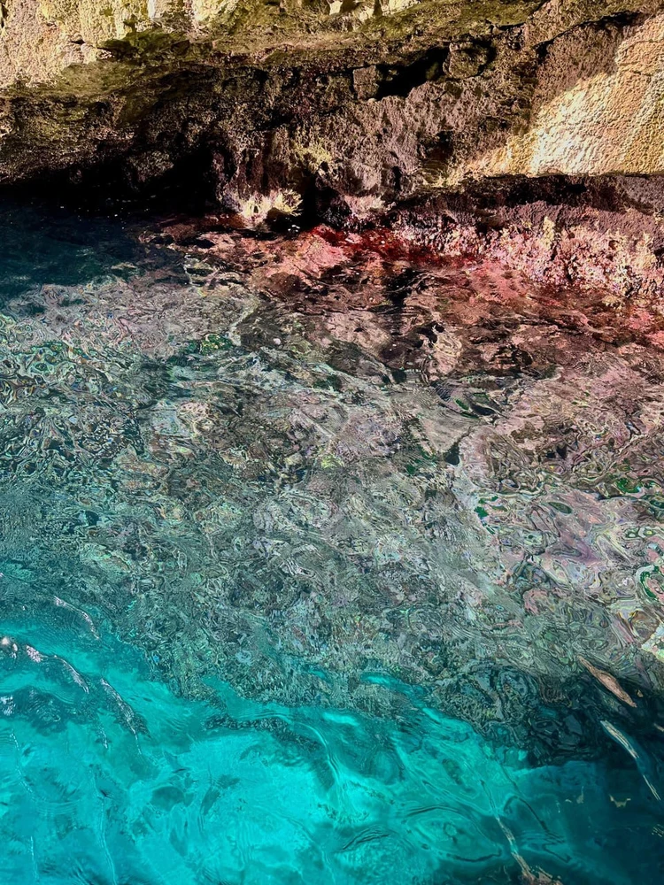 Li Kai上傳的圖片