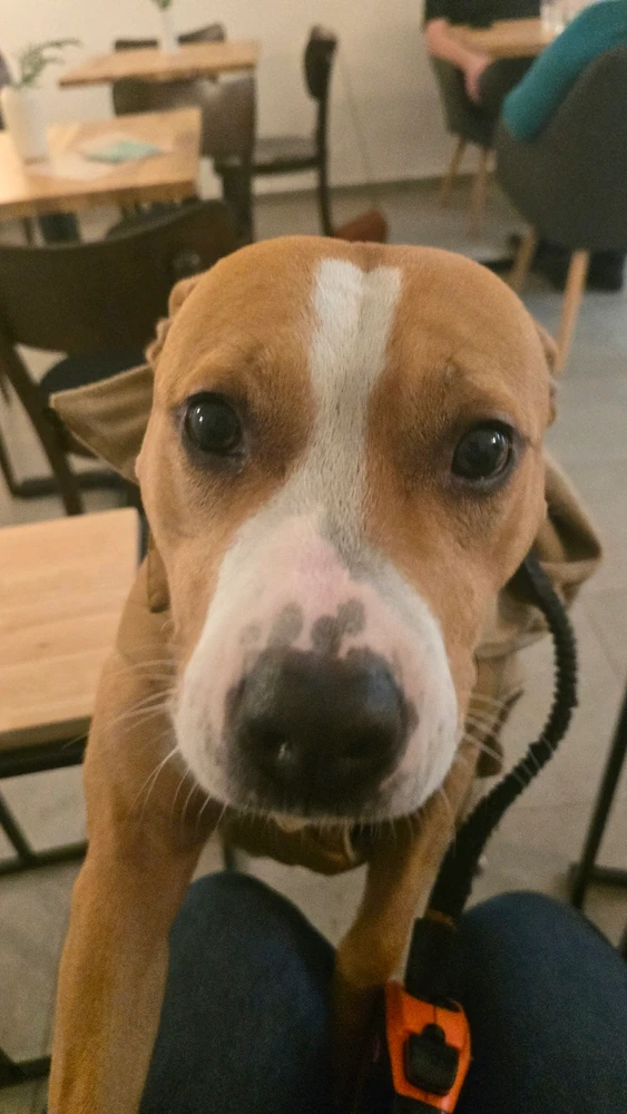 Obrázek nahrál Ondřej