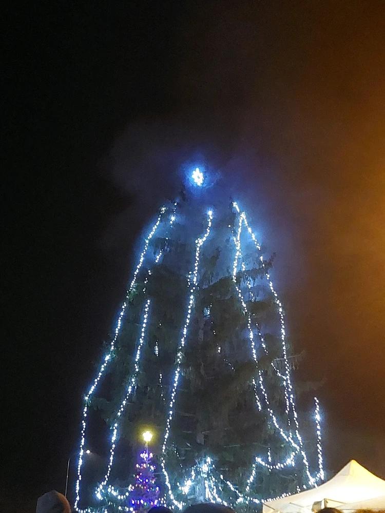 Obrázek nahrál Táňa