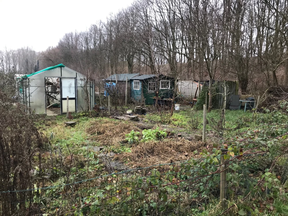 Afbeelding geüpload door Sander