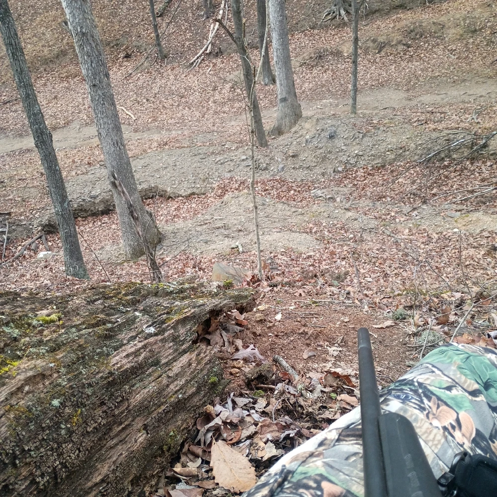 GIF uploaded by Tate