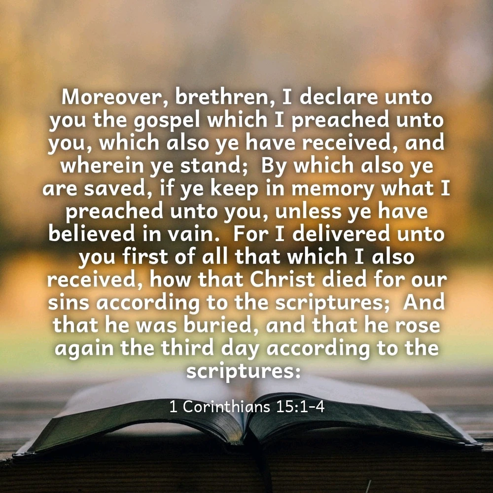 GIF uploaded by Larry