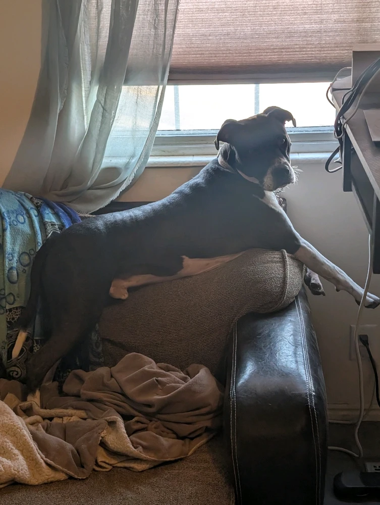 Gambar diunggah dening Meg