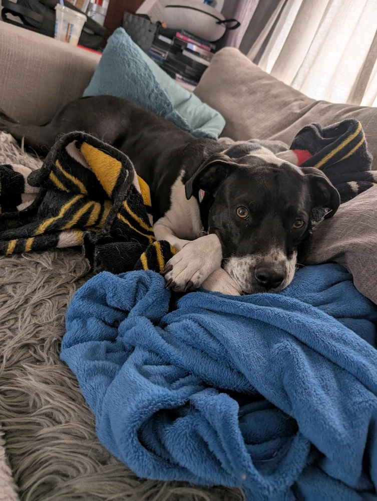 Gambar diunggah dening Meg