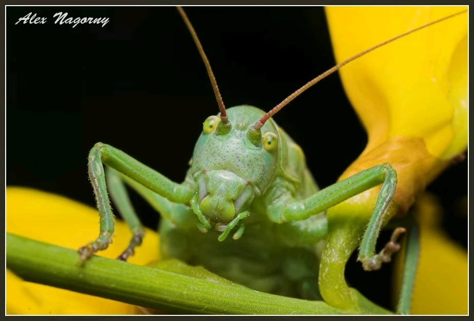 GIF uploaded by Alex