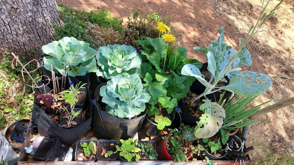 GIF uploaded by Ziggy