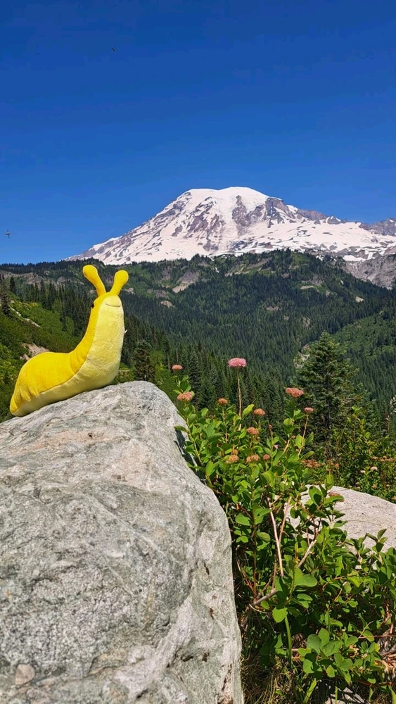 This is my Bananasnail toy. I bought it at the foot Mount Rainier.